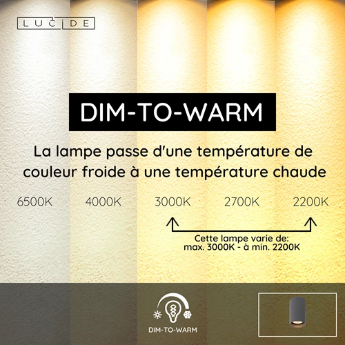 Lucide DELTO - Spot plafond - Ø 5,5 cm - LED Dim to warm - GU10 - 1x5W 2200K/3000K - Gris - USP